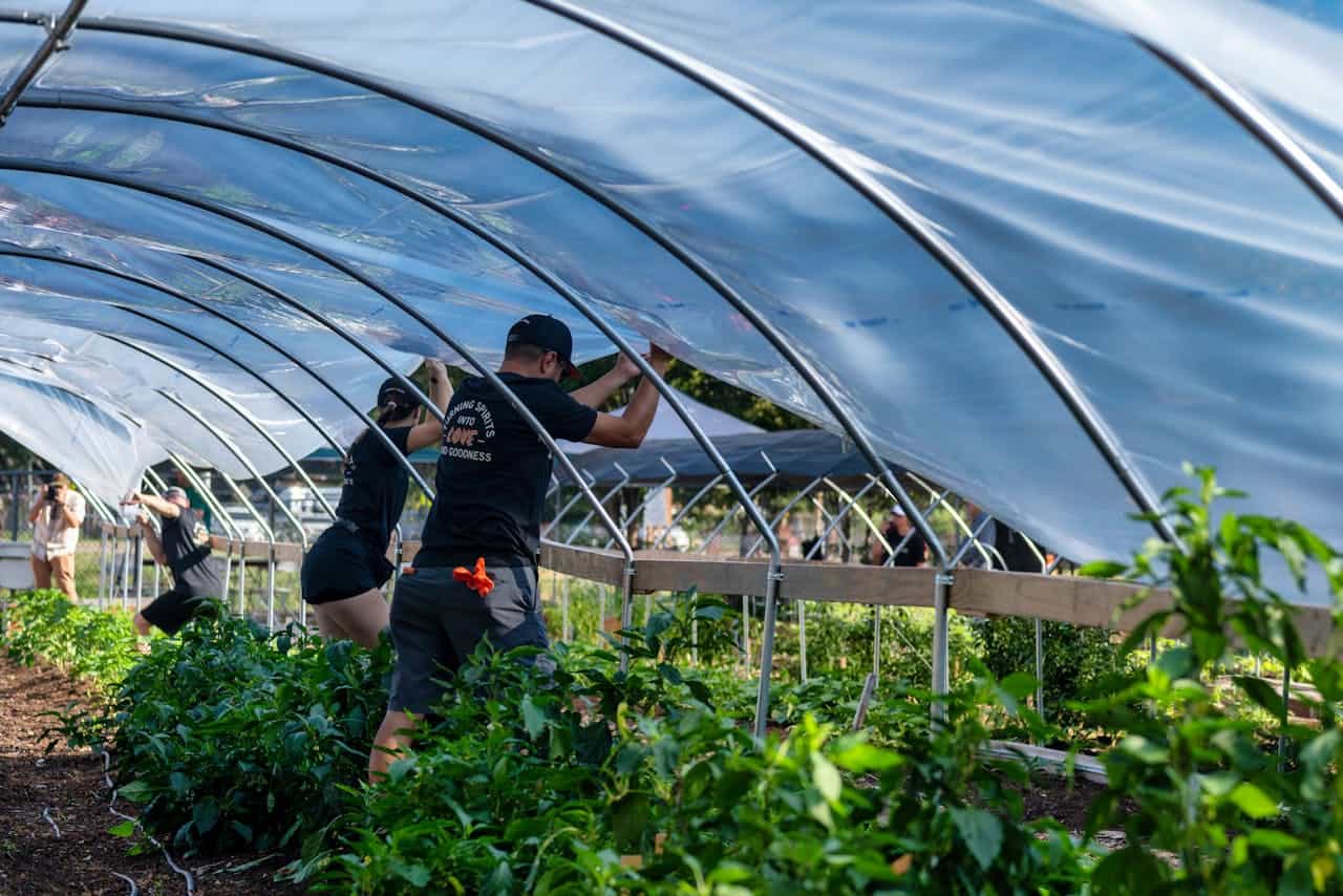 Farm worker